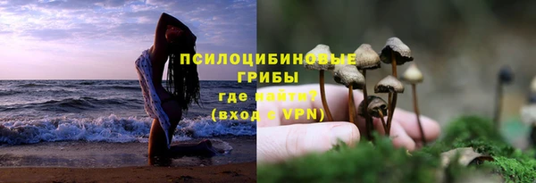 прущая мука Богородск